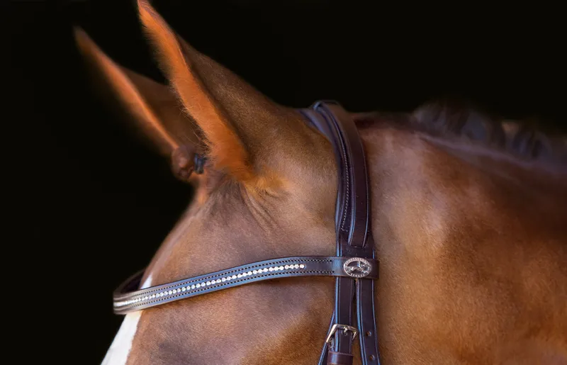 Schockemohle Copenhagen Classic Line Bridle Dark Brown-Silver - Image 3