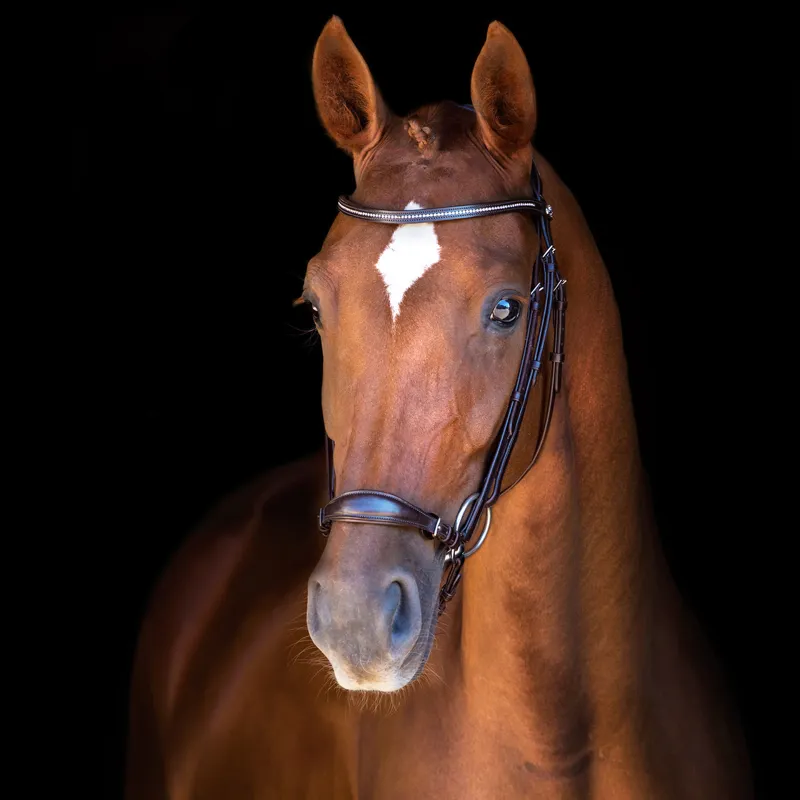 Schockemohle Copenhagen Classic Line Bridle Dark Brown-Silver - Image 4