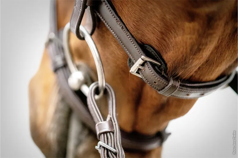 Schockemohle Cape Town Select Bridle Espresso-Silver - Image 3