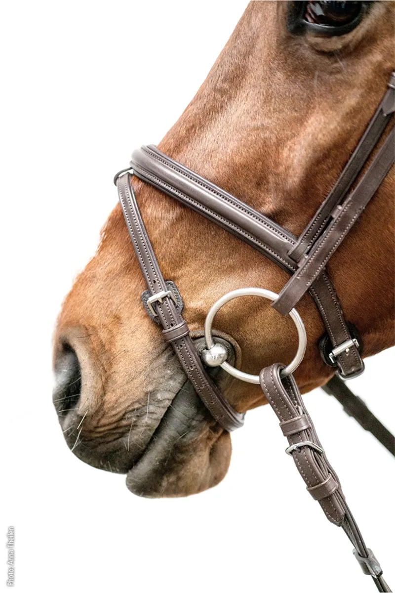 Schockemohle Cape Town Select Bridle Espresso-Silver - Image 4