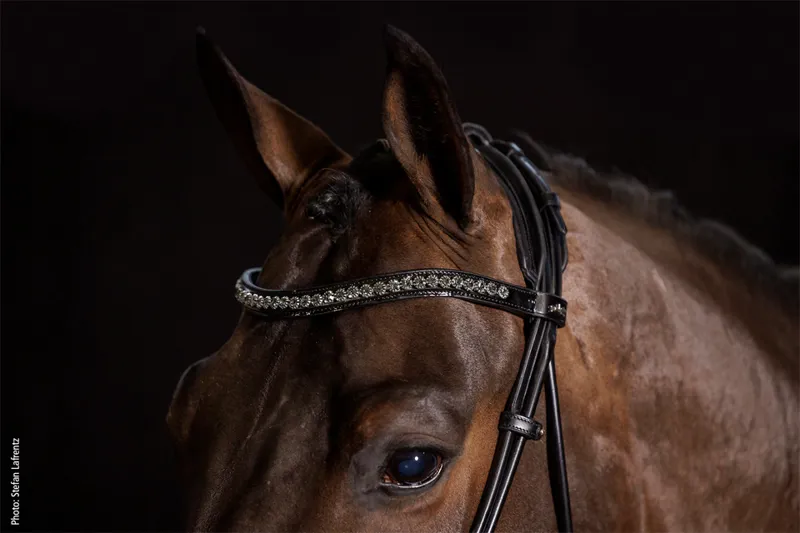 Schockemohle Westminster Rolled Bridle Black-Silver - Image 2