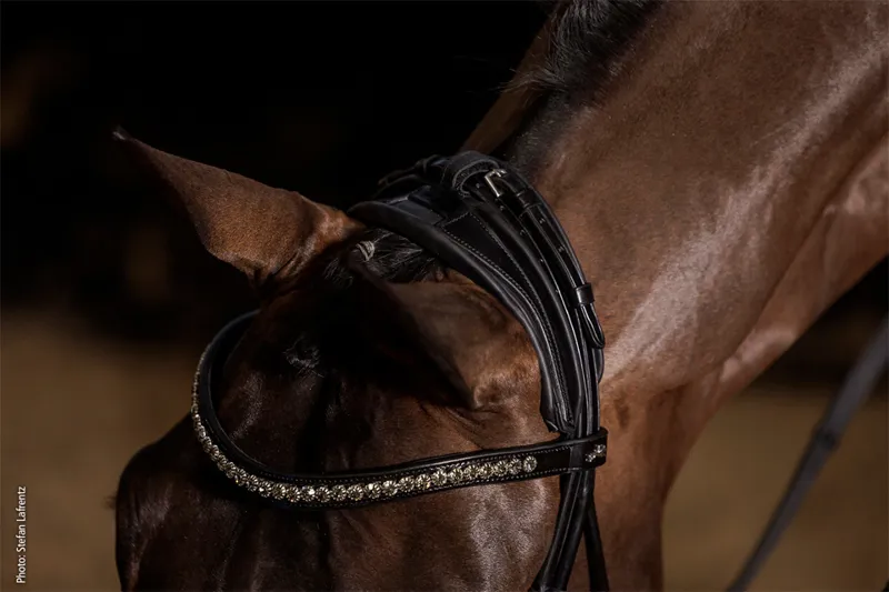 Schockemohle Westminster Rolled Bridle Black-Silver - Image 3