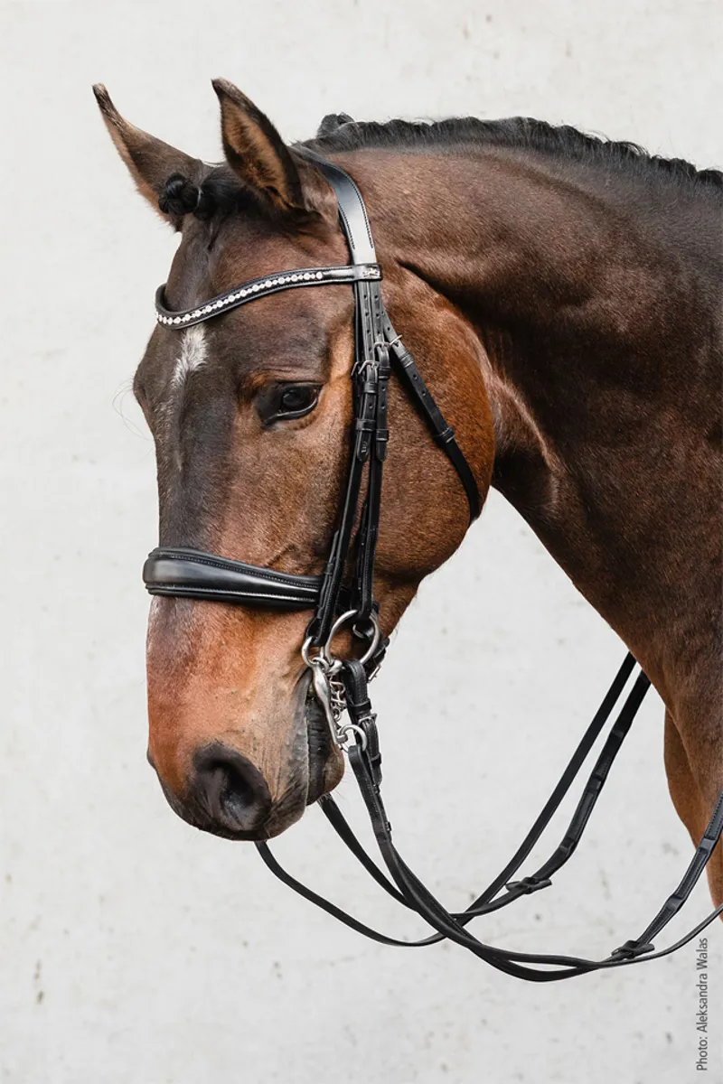 Schockemohle Milton Anatomical Double Bridle Black-Silver - Image 4