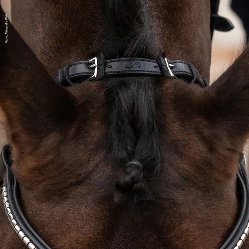 Schockemohle Equitus RHO Headpiece Black-Silver - Image 3