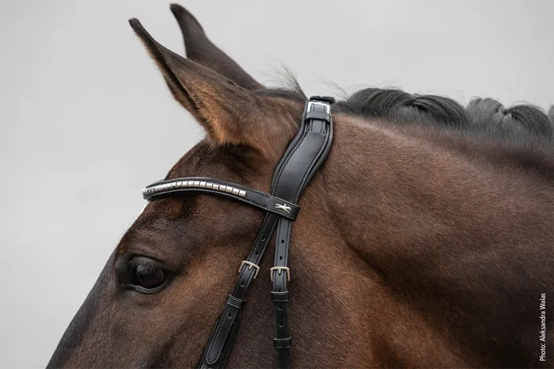 Schockemohle Equitus RHO Headpiece Black-Silver - Image 4