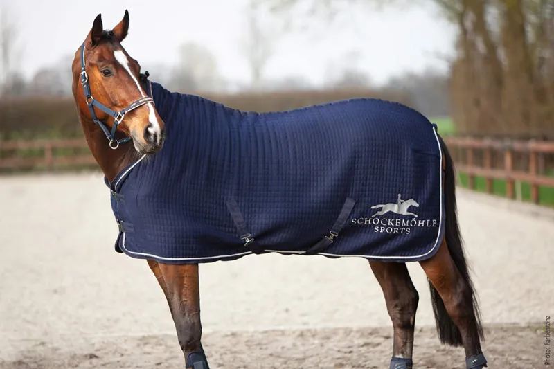 Schockemohle New Heat Balance Sweat Rug Midnight Blue - Image 2
